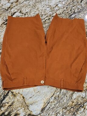 Sean John Men's Rust Orange Chinos. Size 36